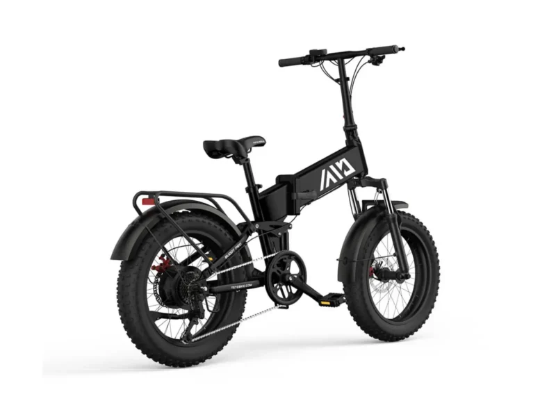 Buddy Pro 20